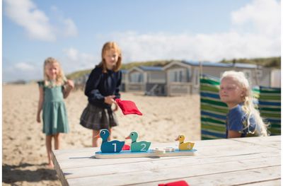 Taiklumo žaidimas BS TOYS Ducks in a row