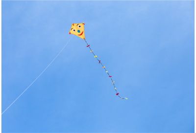 Aitvaras ECOLINE: Eddy Happy Face 50cm
