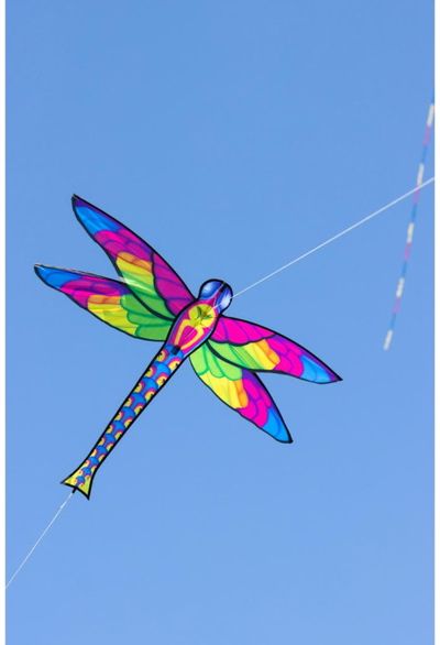 Aitvaras ECOLINE: Dragonfly - laumžirgis