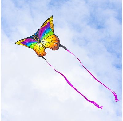 Aitvaras ECOLINE: Butterfly Kite Rainbow - spalvotas drugelis