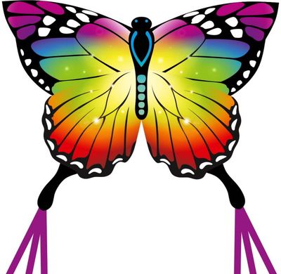 Aitvaras ECOLINE: Butterfly Kite Rainbow - spalvotas drugelis