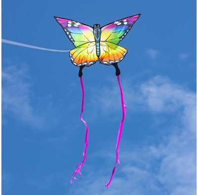 Aitvaras ECOLINE: Butterfly Kite Rainbow - spalvotas drugelis