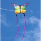 Aitvaras ECOLINE: Butterfly Kite Rainbow - spalvotas drugelis