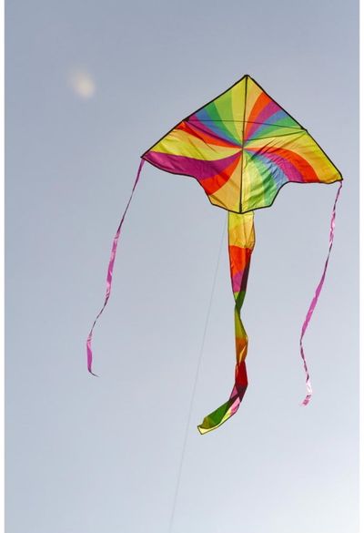 Aitvaras ECOLINE: Simple Flyer Rainbow Vortex 120cm