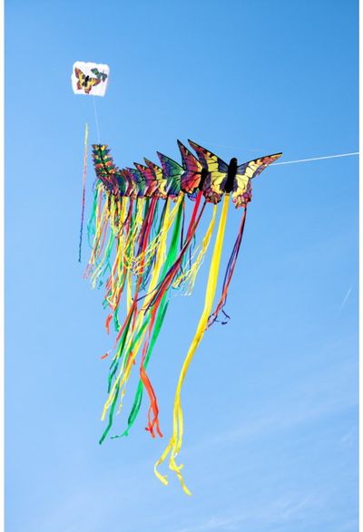 Aitvaras HQ Butterfly Kite Ruby R - rausvas drugys