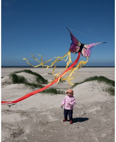 Aitvaras HQ Butterfly Kite Ruby R - rausvas drugys