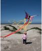 Aitvaras HQ Butterfly Kite Ruby R - rausvas drugys
