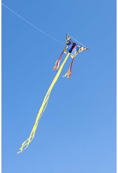 Aitvaras HQ Butterfly Kite Buckeye R - melsvas drugys