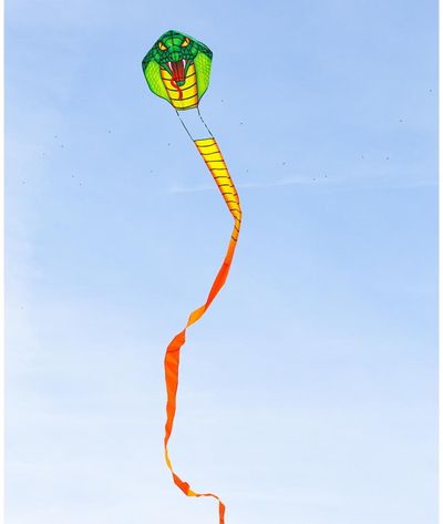 Aitvaras ECOLINE: Emerald Cobra Kite - gyvatė kobra