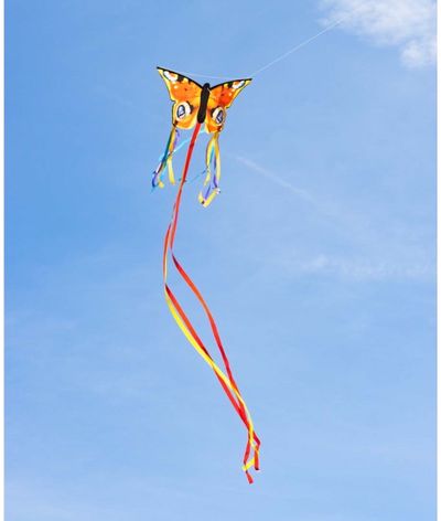 Aitvaras HQ Butterfly Kite Peacock R - drugelis spungė