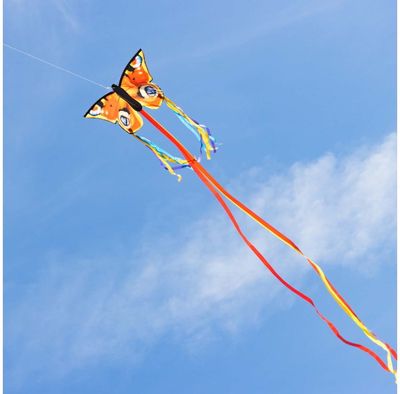 Aitvaras HQ Butterfly Kite Peacock R - drugelis spungė