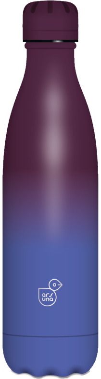 Nerūdijančio plieno gertuvė GRADIENTBLUE/PURPLE , 500 ml