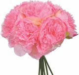 Dirbtinių bijūnų puokštė, 40 cm, rožinė
