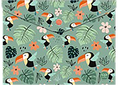 Aplankas (vokas) CP su spaustuku, A4, Toucans