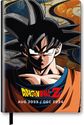 Darbo knyga DRAGON BALL 2023/2024 POCKET savaitė atvarte, 17 mėnesių (23 rugp.-2 4 gruod.)