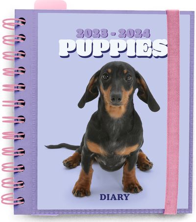 Mokslo kalendorius DOGS 2023/2024 M ACADEMIC diena puslapyje 11 mėn. (23 rugp.-2 4 liepa)