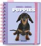 Mokslo kalendorius DOGS 2023/2024 M ACADEMIC diena puslapyje 11 mėn. (23 rugp.-2 4 liepa)