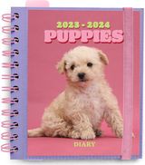 Mokslo kalendorius DOGS 2023/2024 M ACADEMIC diena puslapyje 11 mėn. (23 rugp.-2 4 liepa)