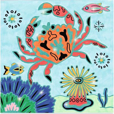 Kūrybinis spalvinimo rinkinys DJECO Colouring surprises Under the sea