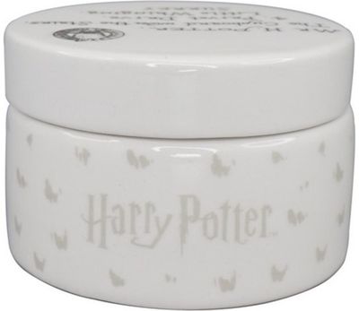 Keramikinė dėžutė HARRY POTTER HEDWIG