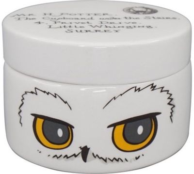 Keramikinė dėžutė HARRY POTTER HEDWIG