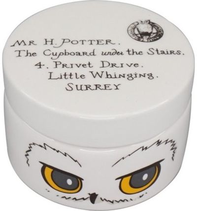 Keramikinė dėžutė HARRY POTTER HEDWIG
