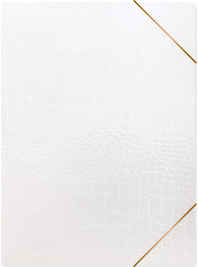 Aplankas plastikinis PURE CROCO su guma, A4, White