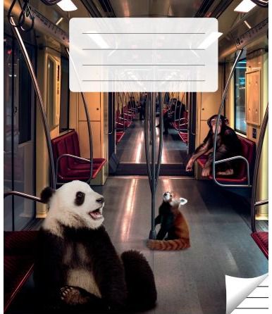 Sąsiuvinis OD-3 su užduotimis, A5, 90 g, 36 l., linijomis