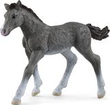 SCHLEICH HORSE CLUB Trakėnų veislės kumeliukas