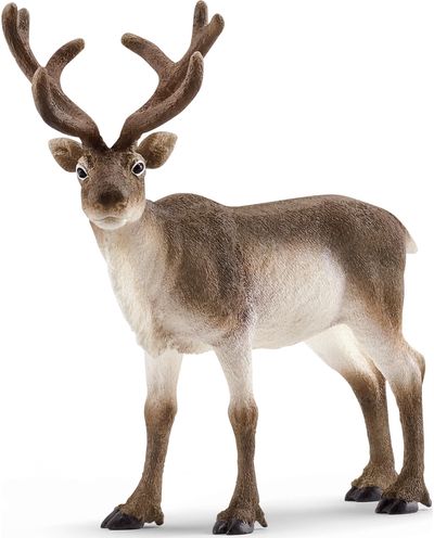 SCHLEICH WILD LIFE Šiaurės elnias