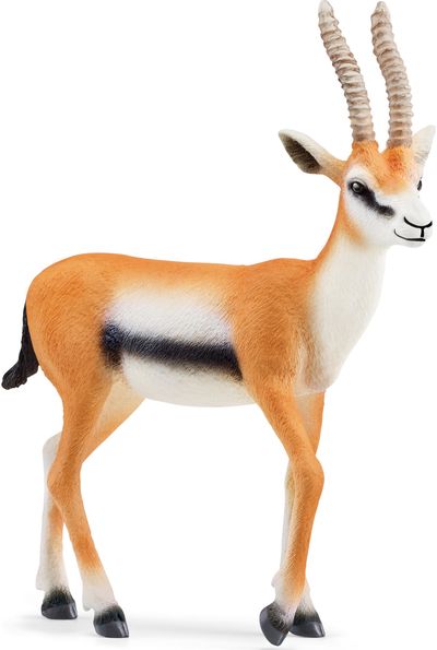 SCHLEICH WILD LIFE Tomsono gazelė
