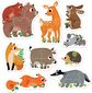 Lavinamoji dėlionė BANANAPANDA Progressive Puzzles Forest Animals 2+