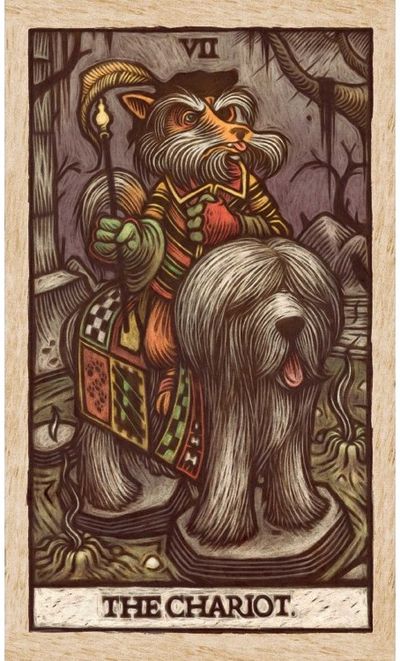 Taro kortos LABYRINTH TAROT DECK AND GUIDEBOOK
