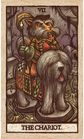 Taro kortos LABYRINTH TAROT DECK AND GUIDEBOOK