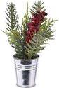 Kalėdinė dekoracija XMAS PLANT IN POT, įv.rūšys