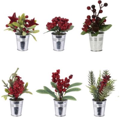 Kalėdinė dekoracija XMAS PLANT IN POT, įv.rūšys