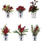 Kalėdinė dekoracija XMAS PLANT IN POT, įv.rūšys