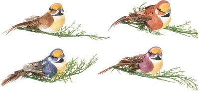 Prisegama dekoracija BIRD ON CLIP, įv.rūšys
