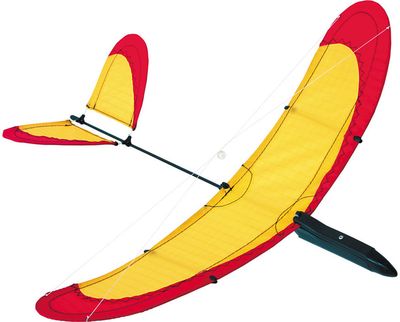 Lauko lėktuvėlis AIRGLIDER Air 40 Red/Yellow
