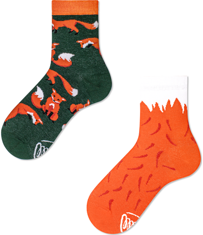 Vaikiškos kojinės THE RED FOX, 27-30