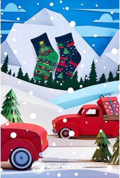 Vaikiškos kojinės X-MAS TREE, 27-30