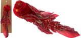 Prisegama dekoracija BIRD ON CLIP RED, 23 cm