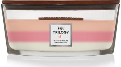 Žvakė WW ELLIPSE TRILOGY BLOOMING ORCHARD, 453 g