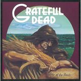 Vinilinė plokštelė Grateful Dead: Wake Of The Flood (50th Anniversary Remaster) (180g) LP