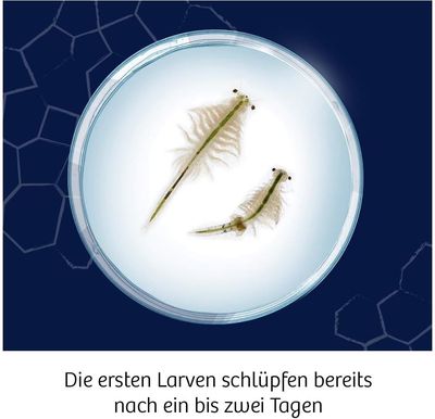 Mokslinis rinkinys KOSMOS SALTWATER CREATURES