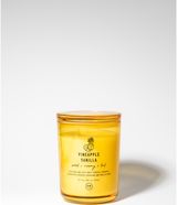 Kvepianti žvakė PINEAPPLE VANILLA, 428 g
