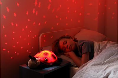 Migdukas - projektorius CLOUD B Twilight Ladybug®
