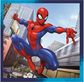 TREFL SPIDER-MAN 3 dėlionių rinkinys Žmogus-voras