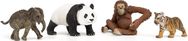 SCHLEICH WILD LIFE Wild Life Pradinis Rinkinys