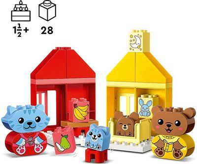 Kasdienė rutina: mityba ir miegas